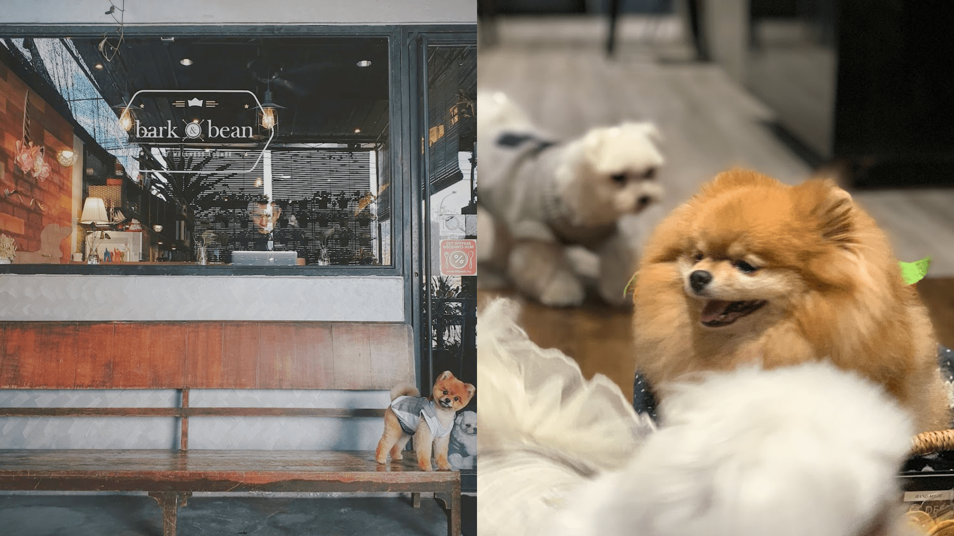 Bark and Bean Pet Cafe