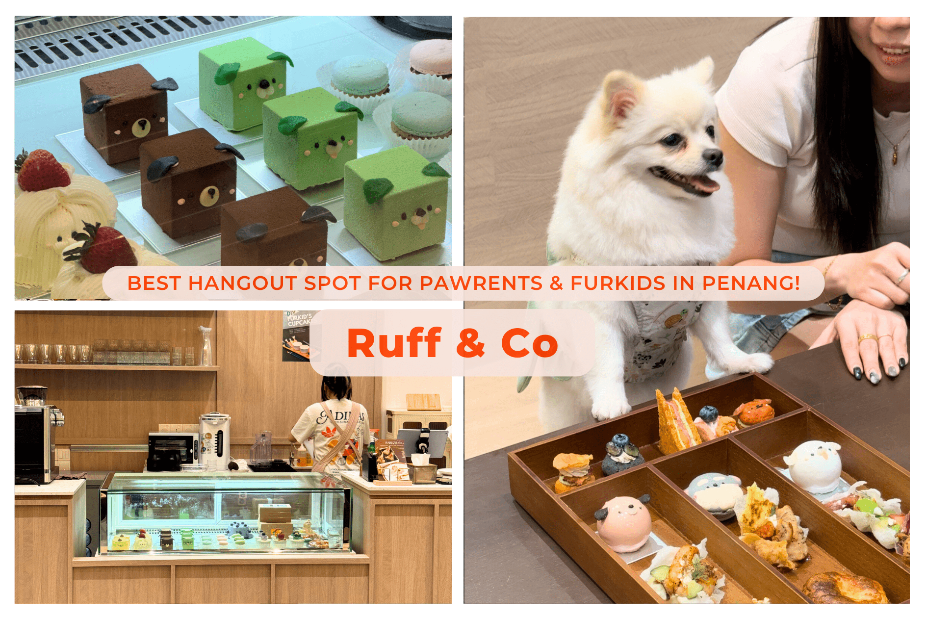 Ruff & Co, Pet Bakery & Cafe, Pet Cafe, Penang