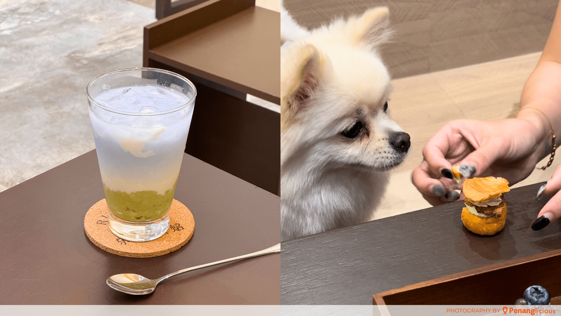 Ruff & Co, Pet Bakery Cafe, Pet Cafe, Penang